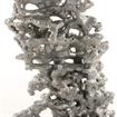 Aluminum Field Ant Colony Cast - Close Up Picture.